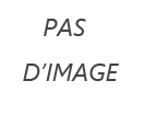 Recherche de mannequin 